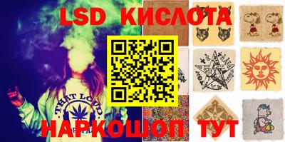 шишки Камышлов