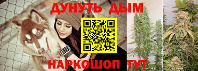 шишки Камышлов