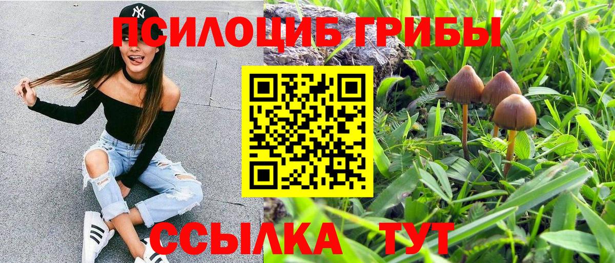 Псилоцибиновые грибы Magic Shrooms  Псилоцибиновые грибы Magic Shrooms  Лабинск  закладка  Вход с VPN 