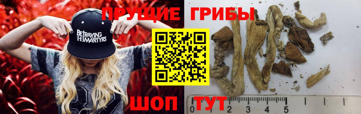 Псилоцибиновые грибы Cubensis Лабинск
